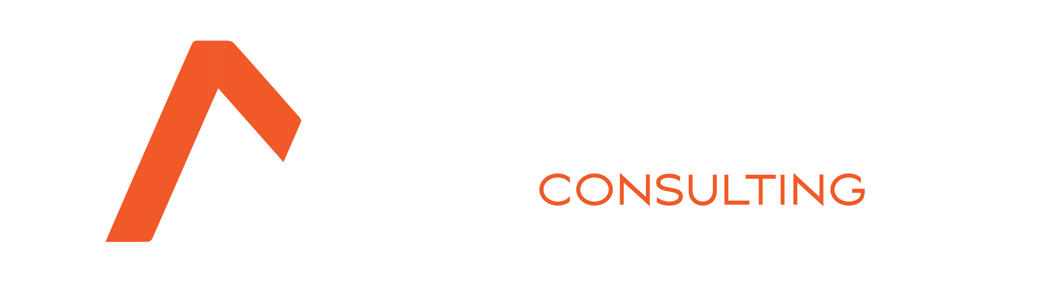 Netelligent_Consulting_Logo
