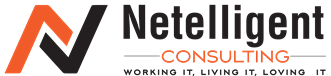 Netelligent Consulting logo
