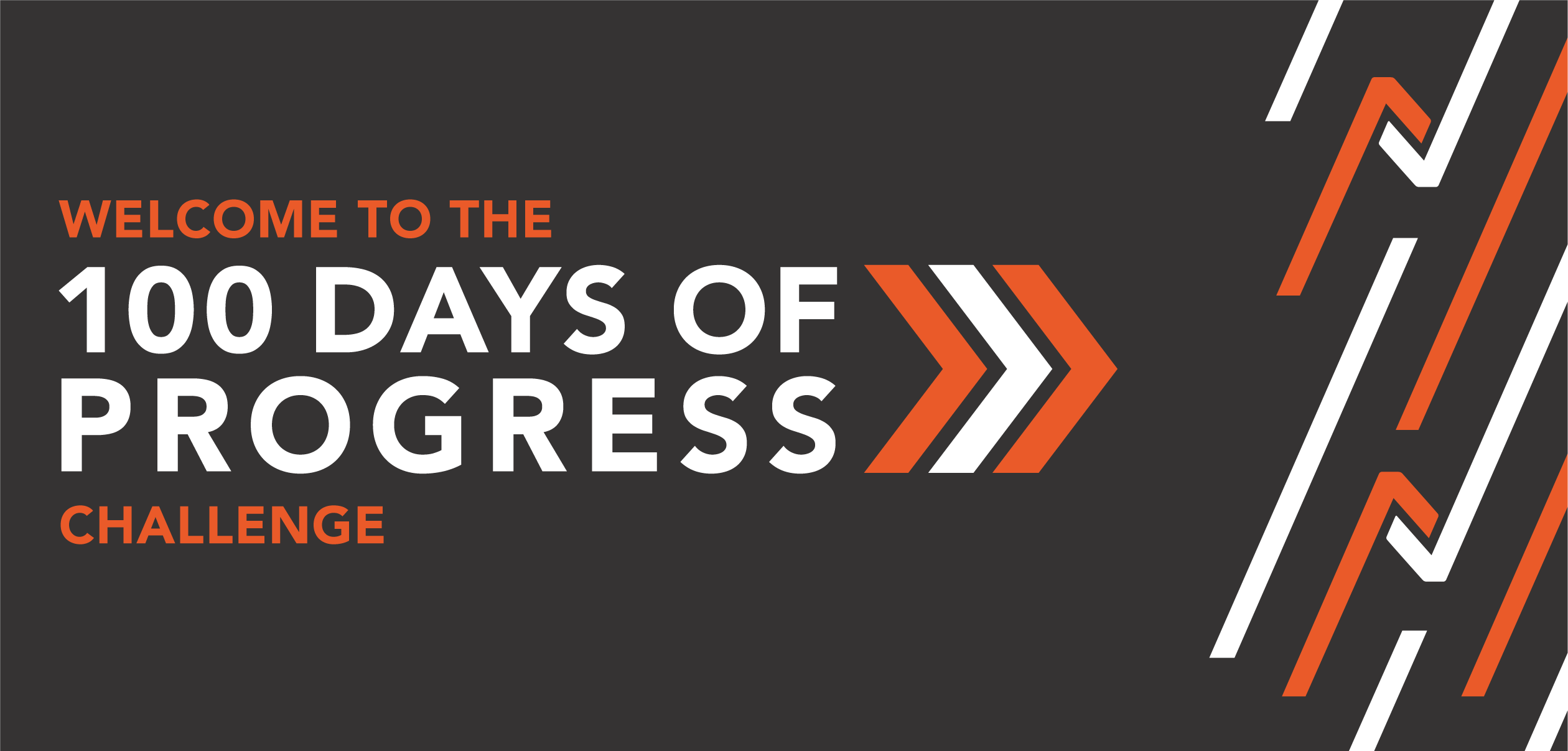 100 Days Blog